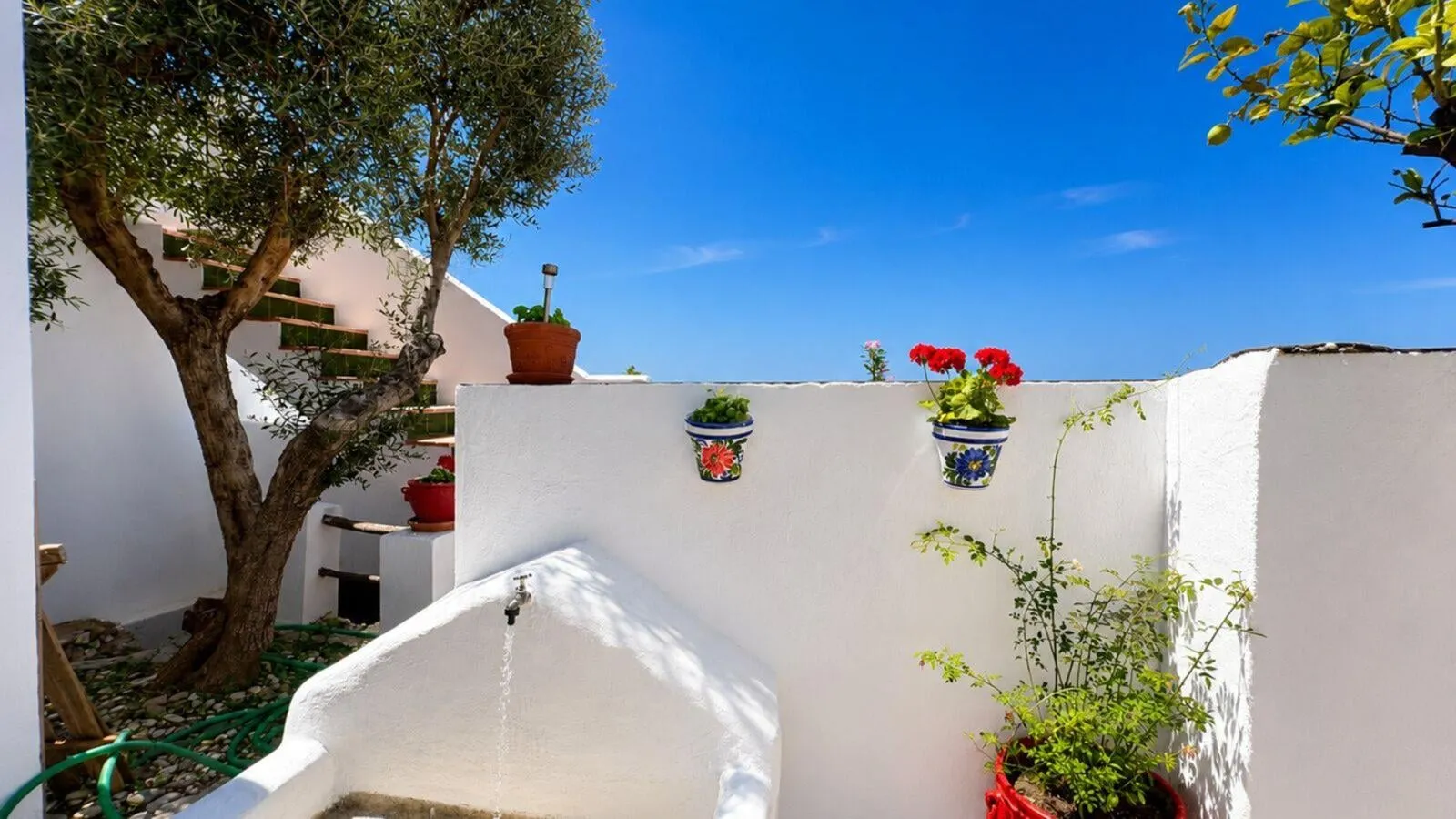 Whitewashed patio at El Olivo with an olive tree and flower pots